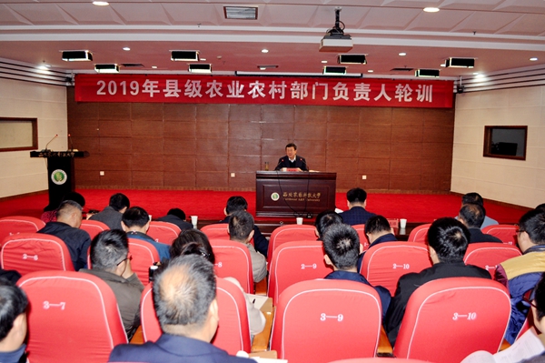 46d3defffffe4ebcb35d2e12494cf69f.jpg 报告现场_副本.jpg