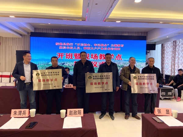 e11bd38c214e4d05bbe1768d9a0ca60c.png 图片2_副本.png