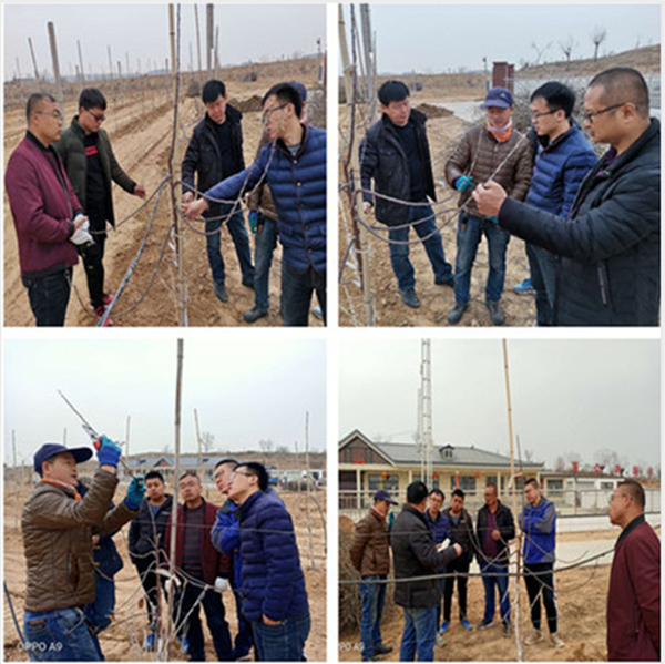 3f83bcf632e14082b3c5285dec954db1.png JT`CSQVP5KW6FJE54CM~7CV_副本.png