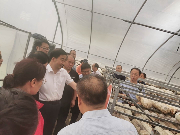 de3c1673b1fa41f980f3dabf7e3b7e5b.jpg 香菇2.jpg