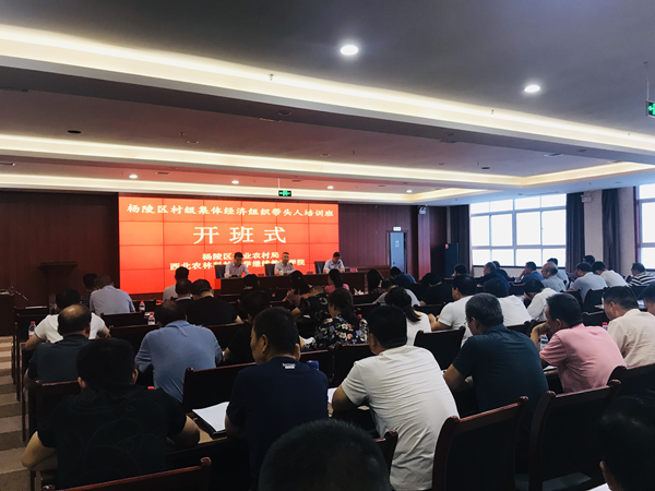 681f37d5b1df4c7b9d5bfa032950c61d.png 图片2.png