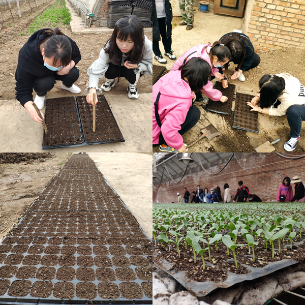 7101d254a1d14e218e5bca00a1343736.png 图片2.png