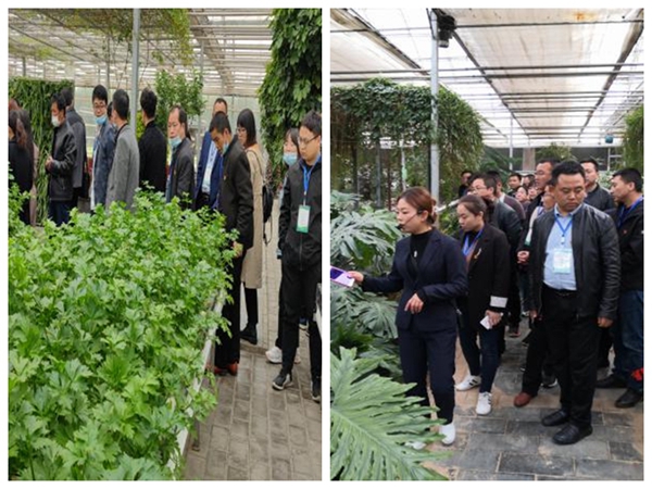 68113a5a21864f28ac657e61ec964091.jpg 光影魔术手拼图4.jpg