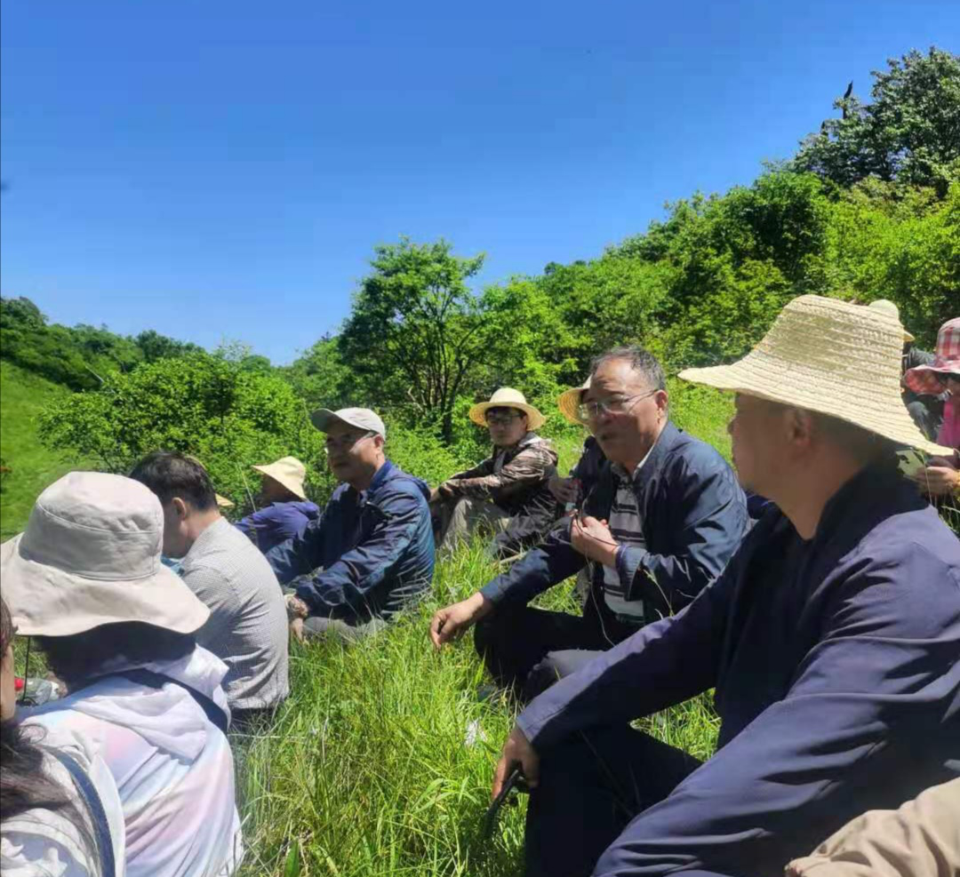 f22cbbb2f93e4721b6c4b2f67a8bba20.png f22cbbb2f93e4721b6c4b2f67a8bba20.png