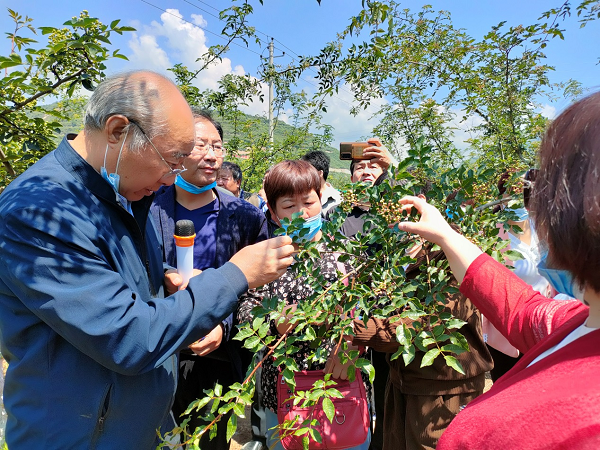 06e63411bfb34982a941190d8c77a8fc.png 图片2.png