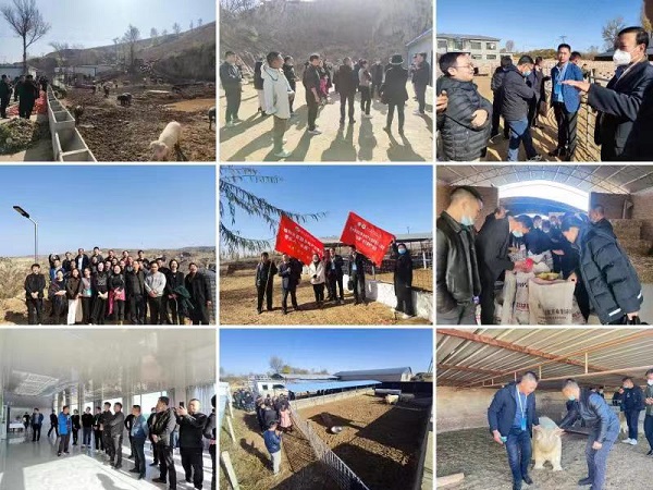 4de745dfafcc48d99cd9e9f6d9d45ae9.jpg 微信图片_20221103150247.jpg