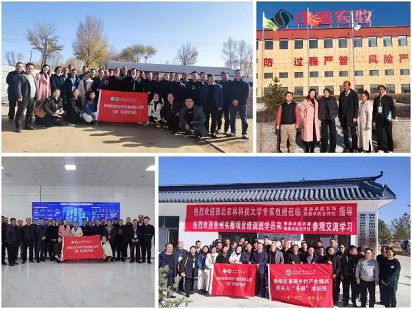 74a0d6f3ed394f9799cbd380253cef11.jpg 微信图片_20221103150253.jpg