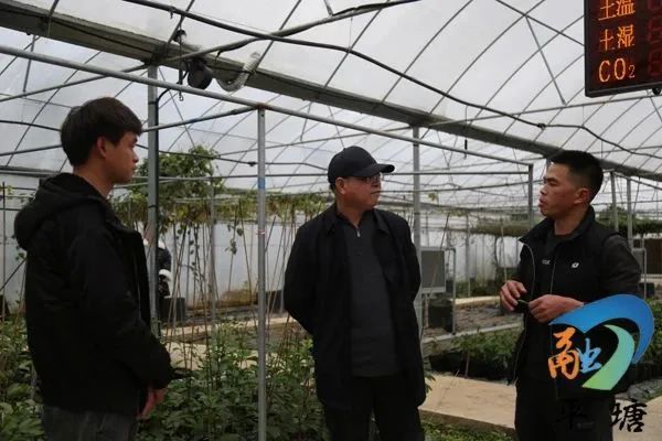 1dee8ccdb3864e33ae4bcf89d7253340.jpg 33.jpg