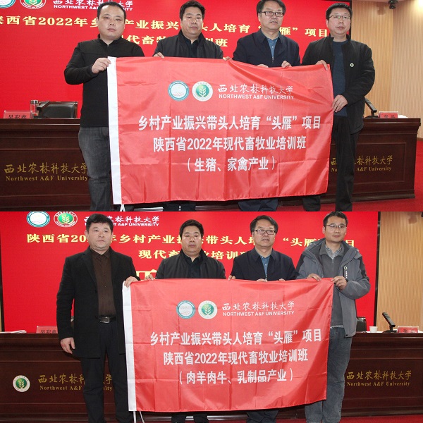 1ebef23f8c7a4bd6b9de903740145339.jpg 1.jpg