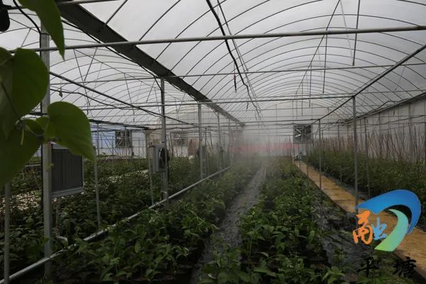 60ea07b606dd4d848816a6d6c12f31c3.jpg 55.jpg