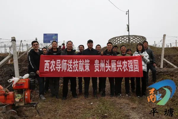 7396ff07de774d9c87d79d7fb730efad.jpg 66.jpg