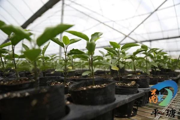 ab5db4a0846d4f33a06a1a2ea19b20b9.jpg 44.jpg