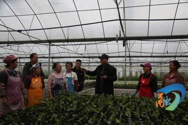 ae276fcaaef1431890d5516b882f5ed1.jpg 11.jpg