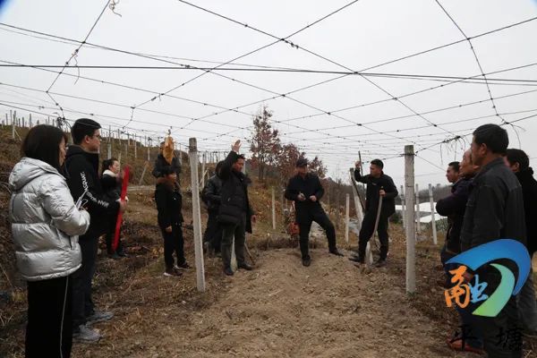 de825793897b46ae8f18ed8063a981b2.jpg 22.jpg