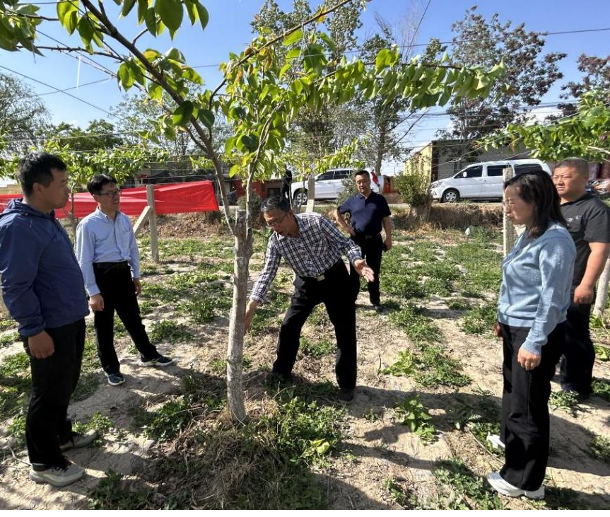 26cc68892dba4a7b8a3eab26fc4cdaea.png 26cc68892dba4a7b8a3eab26fc4cdaea.png