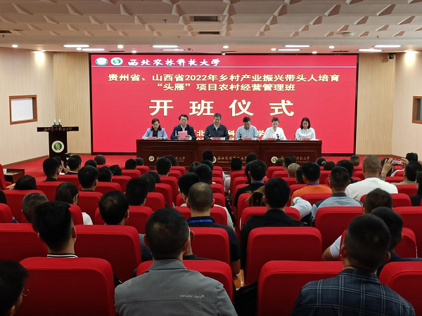 b64439e1e9564944a6596e844827b0f7.png 1.png