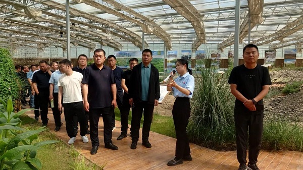 40ad359adbb844b5b9b137eefef73ada.jpg 33.jpg