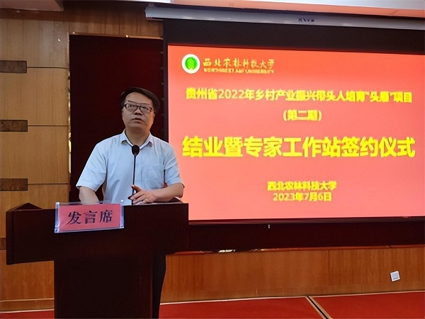 85282846ec33434abb84e123956351c8.jpeg 4.jpeg